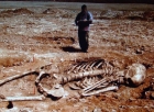 《圣经》所记载的巨人遗骨被发现（转载）
