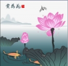 迈迈，荷仙子