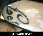 img00309c_th.jpg