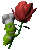 送花.gif