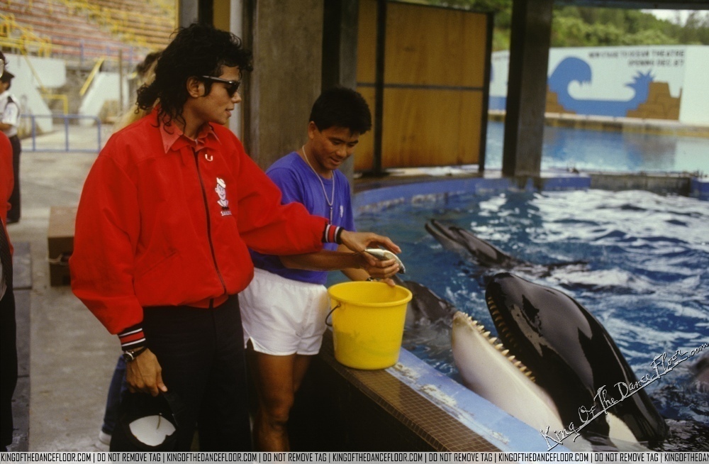 MJJ-3-peace-for-michael-jackson-20713125-1000-654.jpg