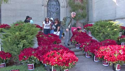 michael-jackson-death-anniversary-flowers-08-480w.jpg