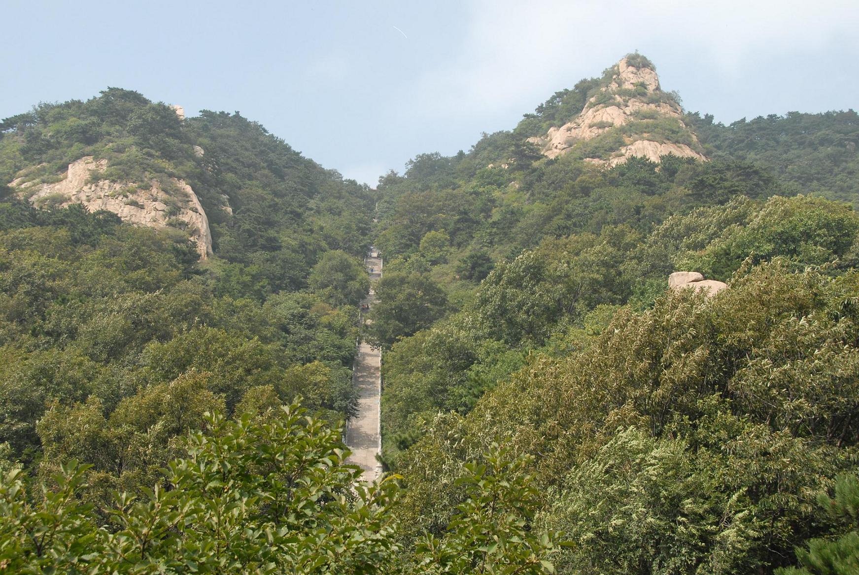 yiwai.JPG