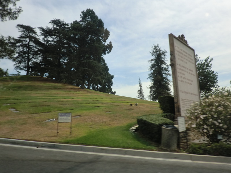 CIMG0031.JPG