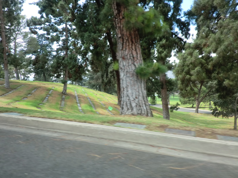CIMG0033.JPG
