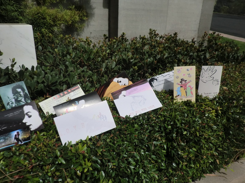 CIMG0050.JPG