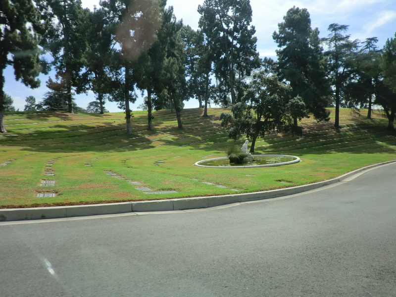 CIMG0075.JPG