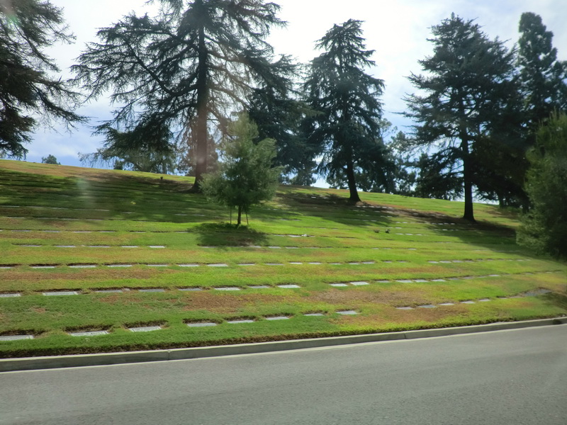 CIMG0076.JPG