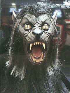 IMG0281A.jpg