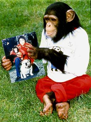 Bubbles-holding-a-picture-Michael-Jackson.jpg