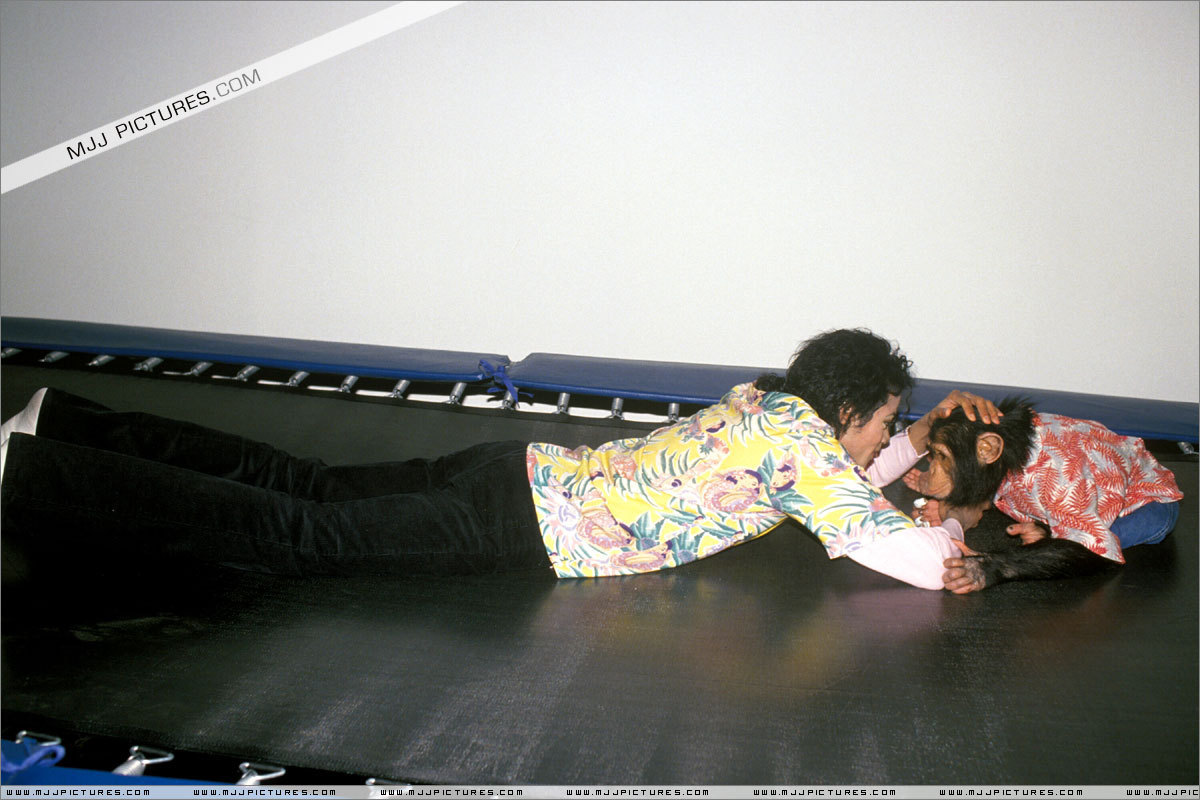 AWW-MJ-AND-BUBBLES-3-michael-jackson-10290822-1200-800.jpg