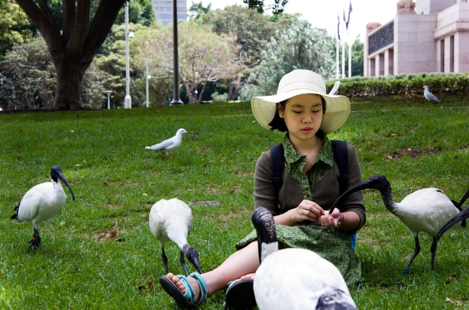 未命名.jpg