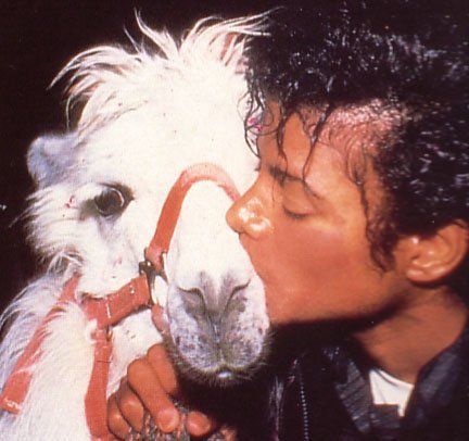 MJ 1983 llama.jpg