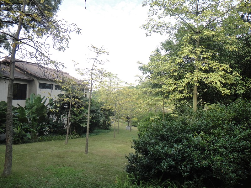DSC01575缩图.JPG