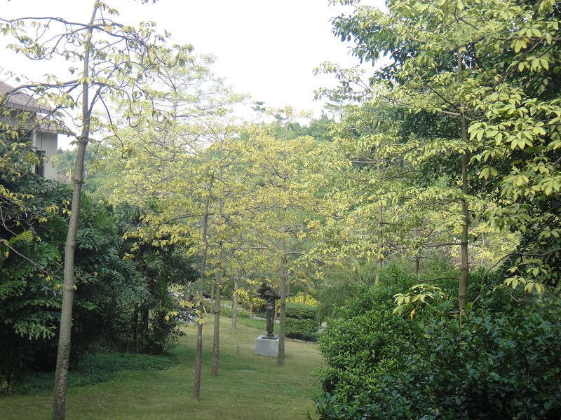 DSC01576缩图.JPG