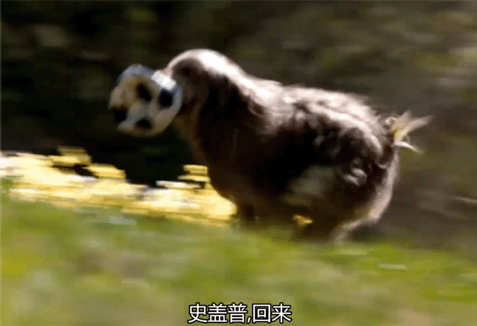 130.gif