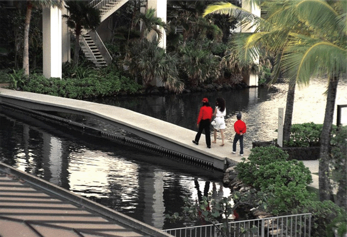 6.gif
