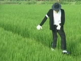 101005123827_michael-jackson-scarecrow-in-taiwan.jpg