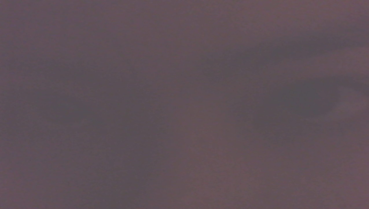 548756.jpg