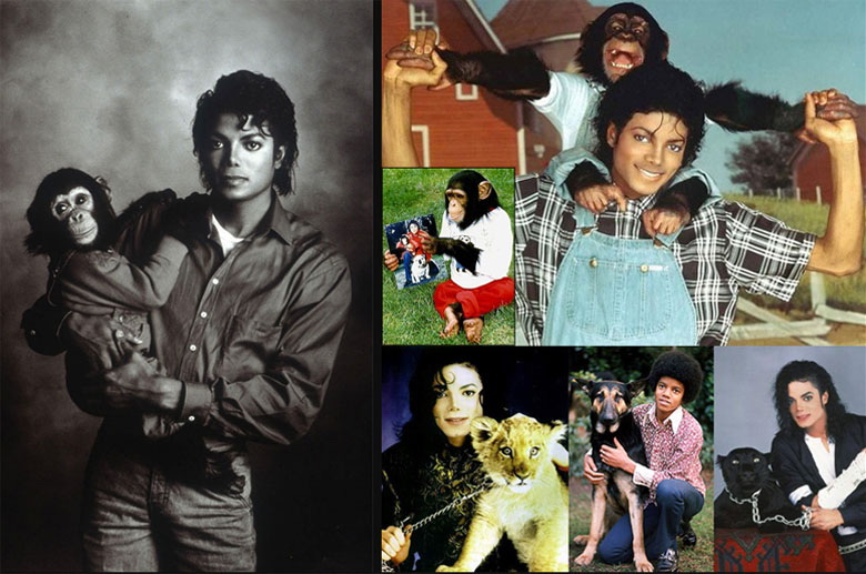 MJ和动物.jpg