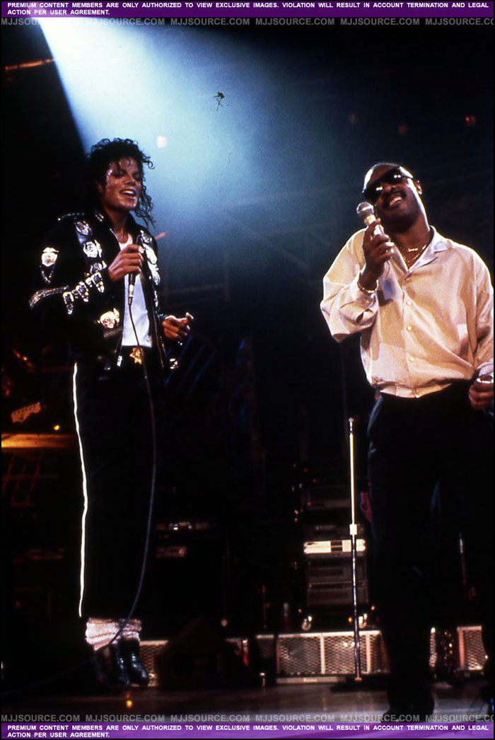 mjsteviewonder.jpg