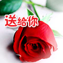 011400A262303D572AB3EDA460431A9A.JPG