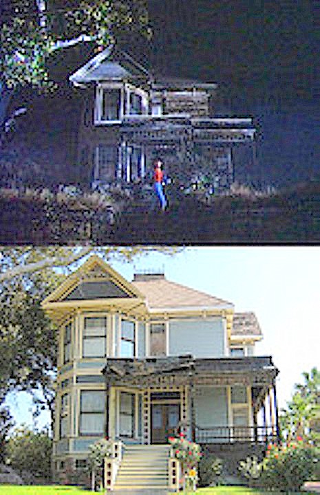 6-Angelino.jpg